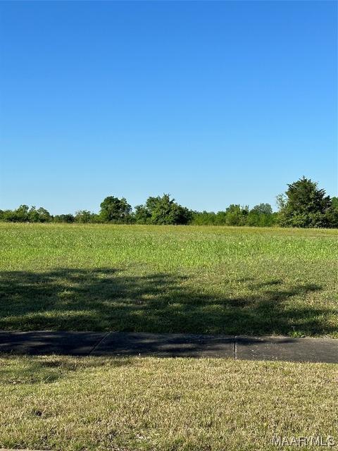 3936 Turning Leaf Ln, Montgomery, AL 36116