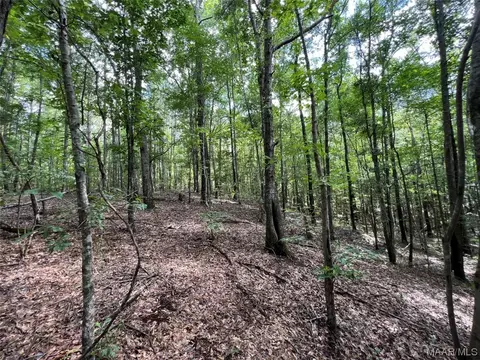 1068 Curtis Rd, Dublin, AL 36069 photo 1