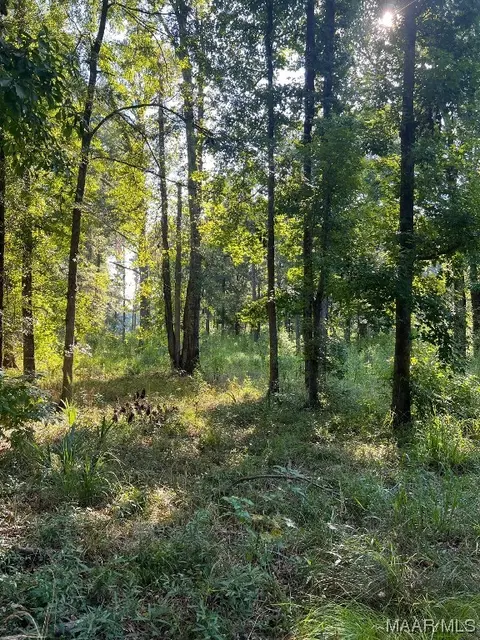 1506 Barganier Rd, Cecil, AL 36013