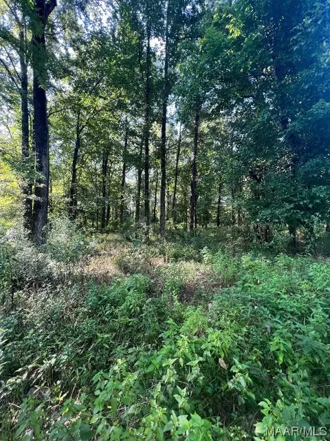1506 Barganier Rd, Cecil, AL 36013 photo 6