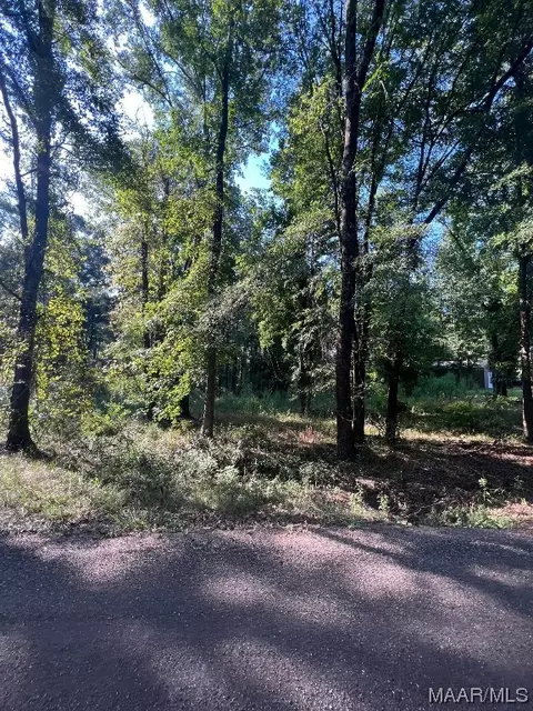 1506 Barganier Rd, Cecil, AL 36013 photo 8