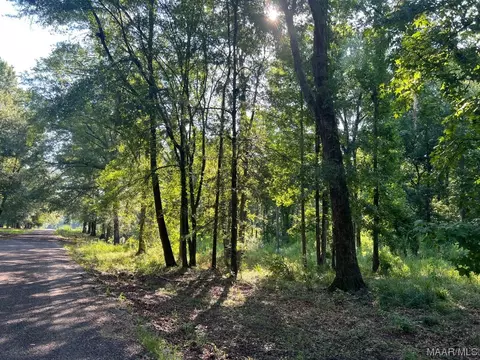 1506 Barganier Rd, Cecil, AL 36013 photo 2
