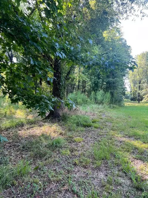 1506 Barganier Rd, Cecil, AL 36013 photo 3