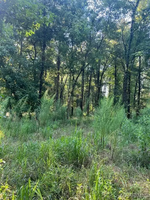 1506 Barganier Rd, Cecil, AL 36013 photo 5