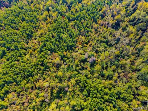 0 Highway 145, Clanton, AL 35046 photo 8