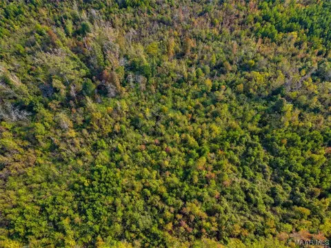 0 Highway 145, Clanton, AL 35046 photo 7