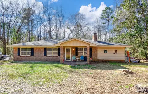 356 W Skipper Rd, Eclectic, AL 36024 photo 1
