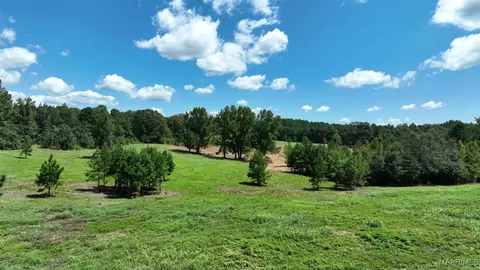 4190 County Road 252, Clanton, AL 35046 photo 1