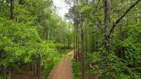 0 Pugh Rd, Mathews, AL 36052
