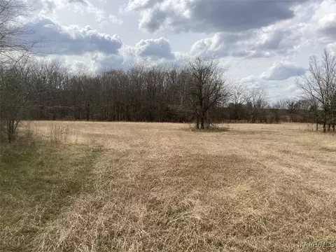 1435 Meriwether Rd, Pike Road, AL 36064