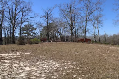 118 Widgeon Ln, Grady, AL 36036