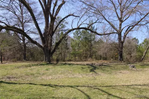 0 Toles Rd #PARCEL 2, Grady, AL 36036