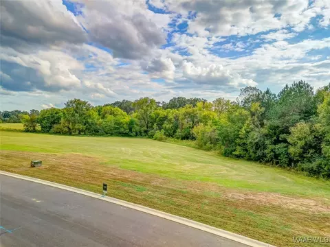 lot1 Hidden Oaks Ave, Pike Road, AL 36064