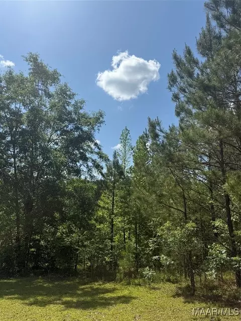 0 Bonnie Blue Rd, Prattville, AL 36067