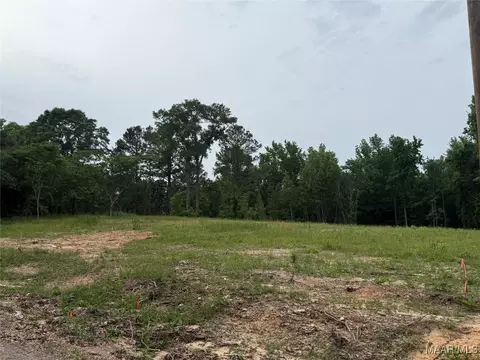 658 Nichols Ave, Eclectic, AL 36024