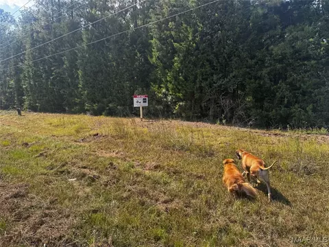 0 County Road 131, Boligee, AL 36278