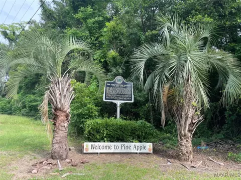 15980 Highway 10 E, Pine Apple, AL 36768 photo 1