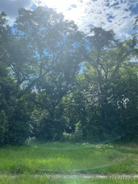 1709 Weaver St, Selma, AL 36701