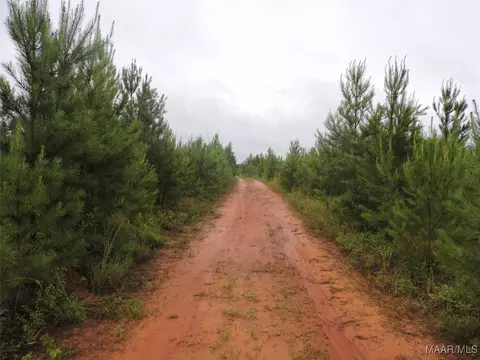 0 Montezuma Rd, Greenville, AL 36037