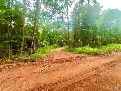 101 Tyson Ln, Greenville, AL 36037