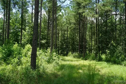 686 Pugh Rd, Mathews, AL 36052 photo 15