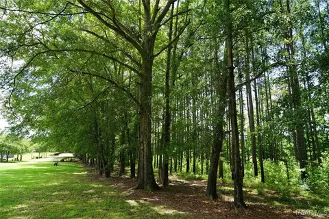 686 Pugh Rd, Mathews, AL 36052 photo 13