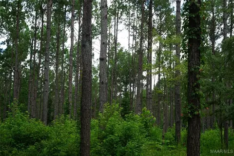 686 Pugh Rd, Mathews, AL 36052 photo 3