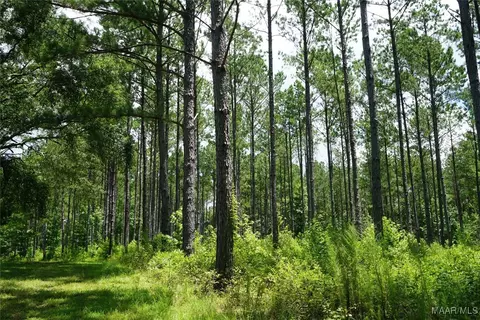 686 Pugh Rd, Mathews, AL 36052 photo 16
