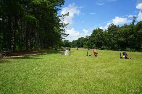 686 Pugh Rd, Mathews, AL 36052 photo 11
