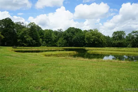 686 Pugh Rd, Mathews, AL 36052 photo 14