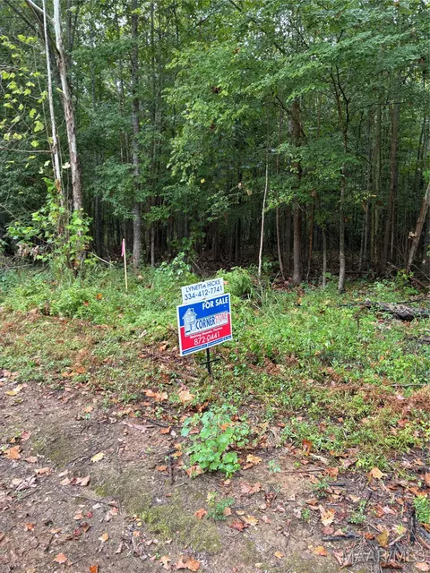 00 County Road 157 Riv, Selma, AL 36701