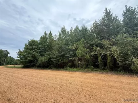 0 Twin Rivers Dr, Orrville, AL 36767