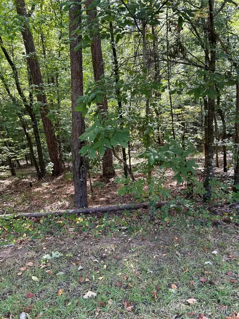 lot102 Beach Island Trce, Dadeville, AL 36853