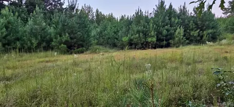874 Old Long Rd, Ramer, AL 36069 photo 4
