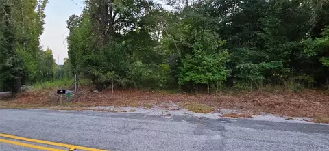 874 Old Long Rd, Ramer, AL 36069 photo 9