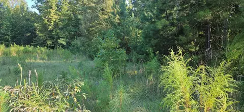 874 Old Long Rd, Ramer, AL 36069 photo 14