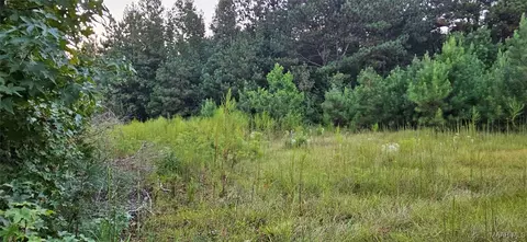 874 Old Long Rd, Ramer, AL 36069 photo 5