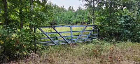 874 Old Long Rd, Ramer, AL 36069 photo 3