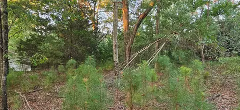 874 Old Long Rd, Ramer, AL 36069 photo 2
