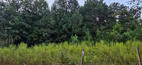 874 Old Long Rd, Ramer, AL 36069 photo 7