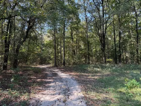 00 Williams Mill Rd, Clayton, AL 36016