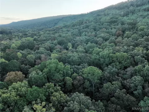 0 Sumatanga Rd, Steele, AL 35987