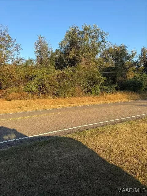 1550 Claud Rd, Eclectic, AL 36024