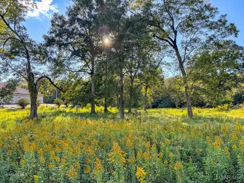 0 N Jackson St, Grove Hill, AL 36451