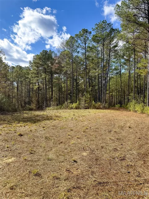 407 County Road 258 Rd, Five Points, AL 36862 photo 32