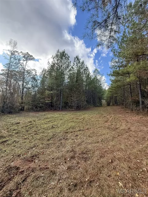 407 County Road 258 Rd, Five Points, AL 36862 photo 47