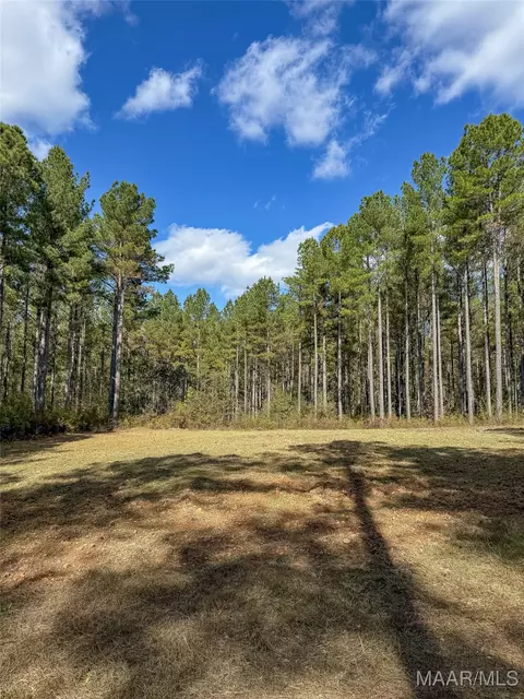 407 County Road 258 Rd, Five Points, AL 36862 photo 23