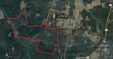 407 County Road 258 Rd, Five Points, AL 36862 photo 54