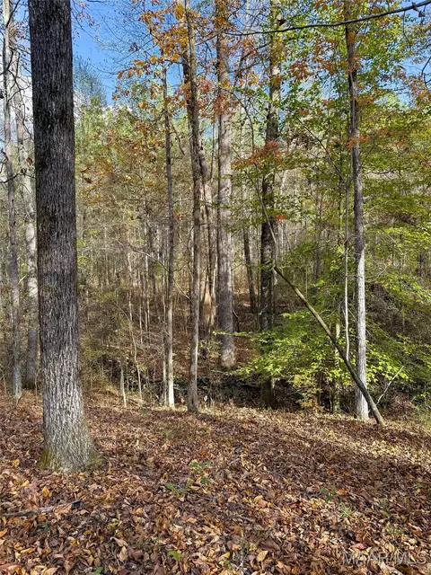 407 County Road 258 Rd, Five Points, AL 36862 photo 49