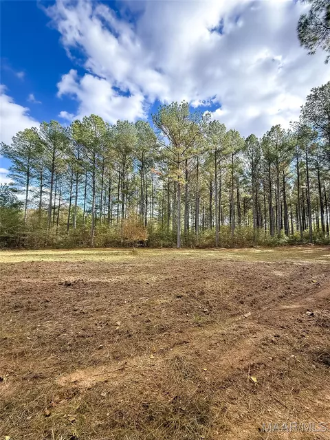 407 County Road 258 Rd, Five Points, AL 36862 photo 41